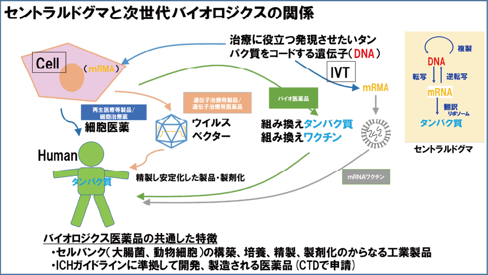 次世代バイオロジクスのプロセスサイエンス研究