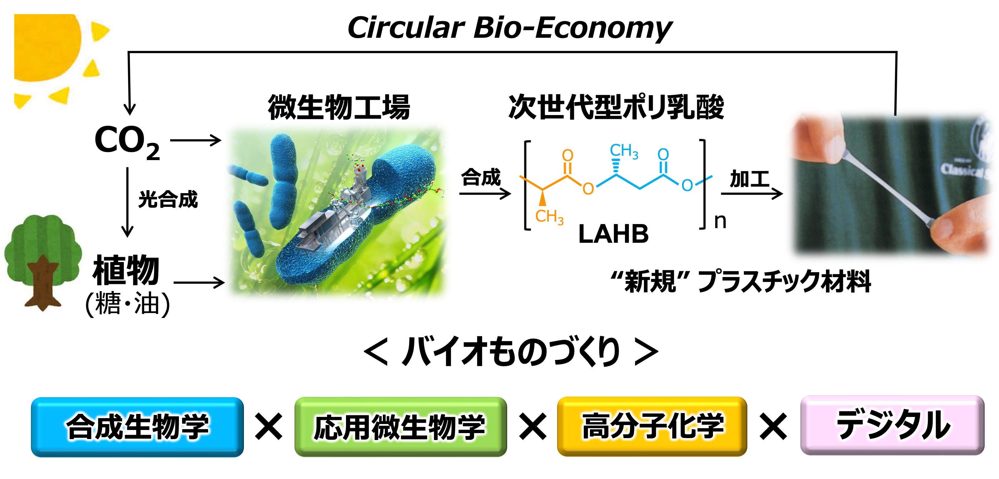 創発生命工学・国際研究